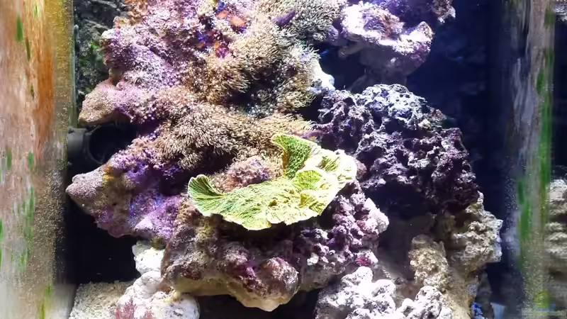 28.07.13 von Amazonasbecken.eu (4)