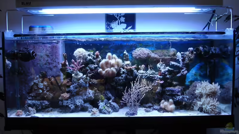 28.07.2013 von Jane Vogeler (29)