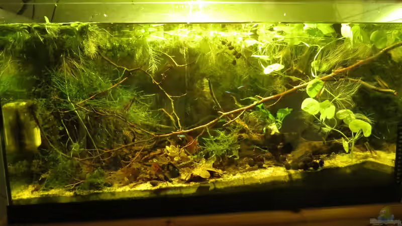 28.07.2015 von Joni_99 (2)