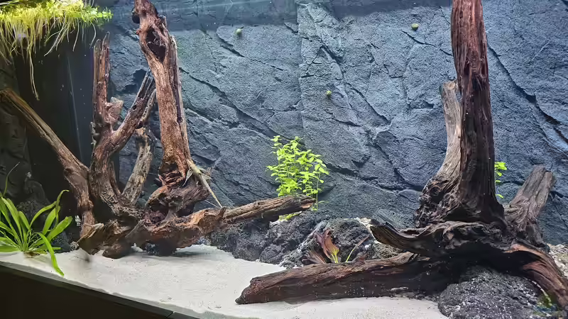 28.07.2024 von marlin (6)