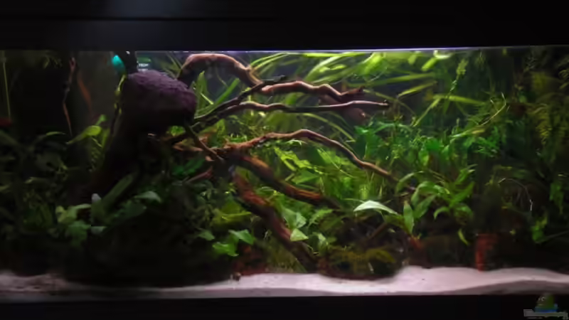 28.08.09  von Dominik (16)