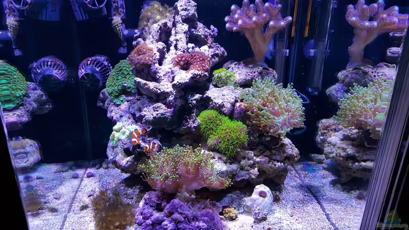 28.08.2015 von BenoN (9)