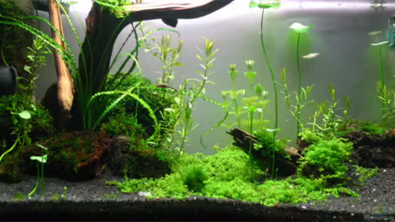 28.09.2007 von senf. (4)