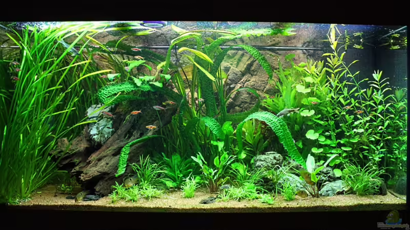 28.09.2011 von Springer (13)