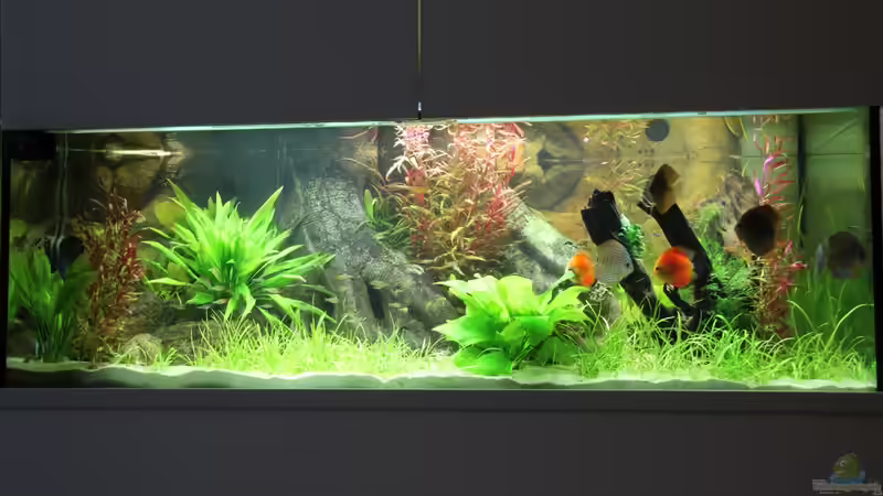 28.09.2013 Teil 1 von Tooooni (13)