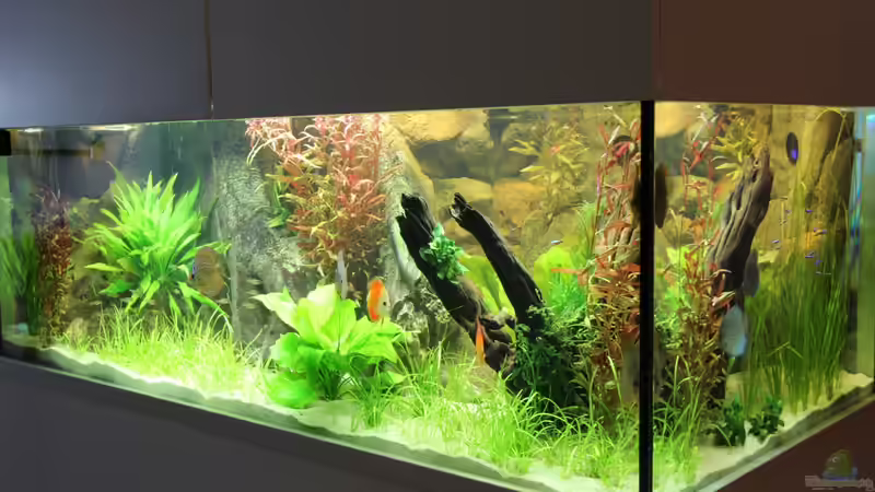 28.09.2013 Teil 2 von Tooooni (14)