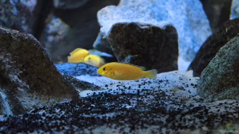 28.09.2014 von Marco O. (84)