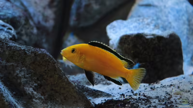 28.09.2014 von Marco O. (85)