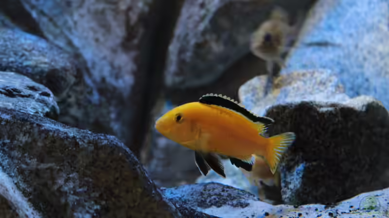 28.09.2014 von Marco O. (87)