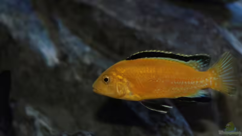 28.09.2014 von Marco O. (88)