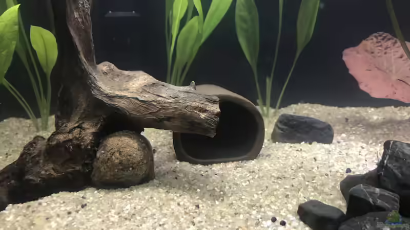 28.09.24 Tonhöhle ( wurde entfernt) von herkla (14)