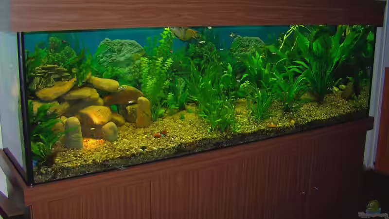 28.10.08 von jeaw70 (11)