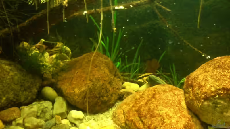 28.10.08 von timme (21)