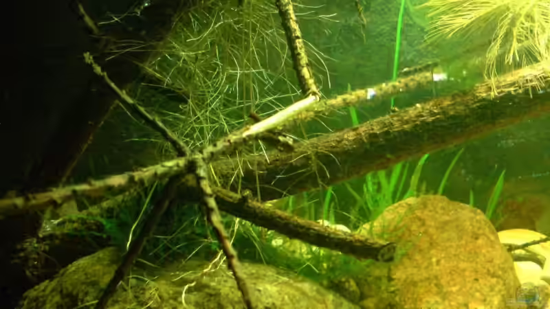 28.10.08 von timme (26)