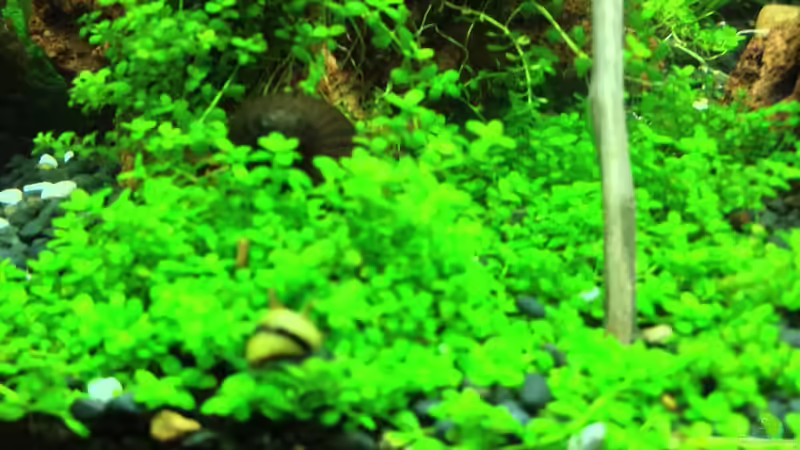 28.10.12 von Walde (95)