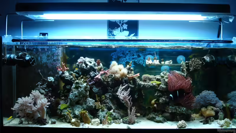 28.10.2012 von Jane Vogeler (25)