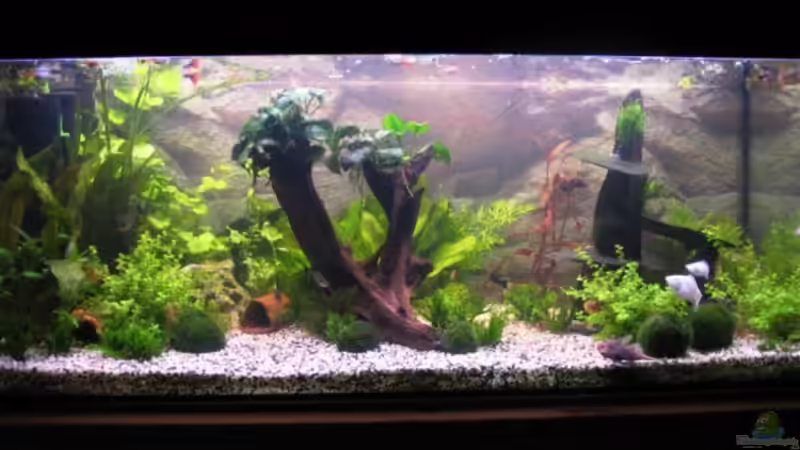 28.11.06 von Monika Maier (2)