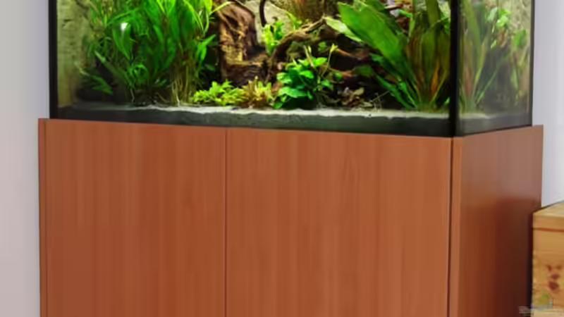 28.11.10 von Tobias Huber (7)