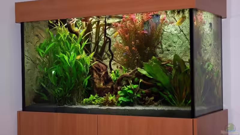 28.11.10 von Tobias Huber (8)