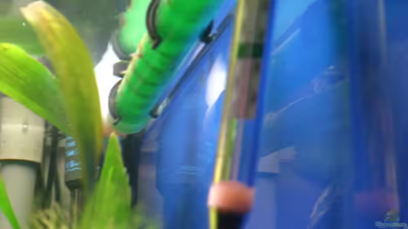 28.11.2010 Ausströmer & Termometer von M to the ilan (35)