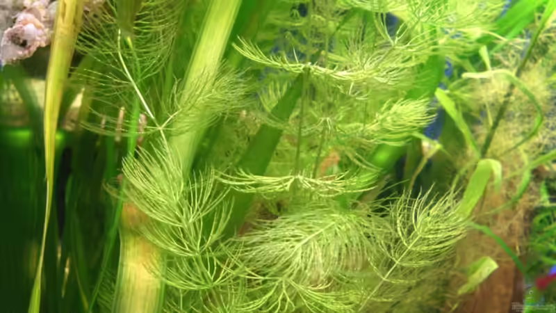 28.11.2010 Blick durch die linke Seitenscheibe von M to the ilan (14)