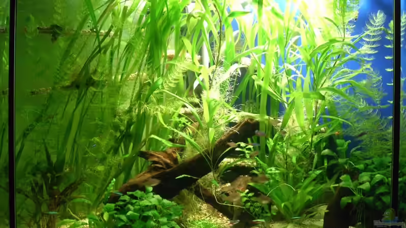 28.11.2010 Frontansicht (nur Hintergrundbeleuchtung) von M to the ilan (12)