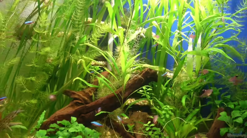 28.11.2010 Frontansicht von M to the ilan (11)