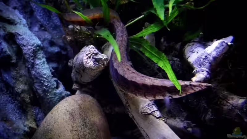 28.11.2013 von snooze (98)