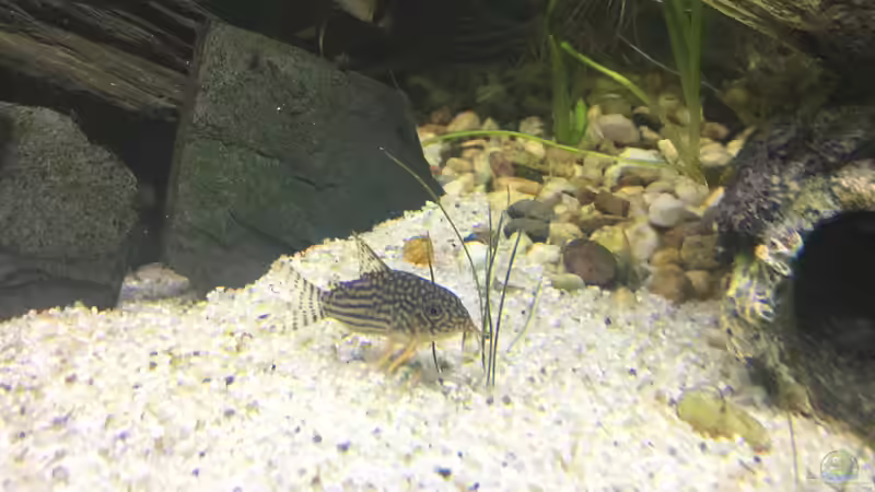 28.12.15 von .Andreas. (108)