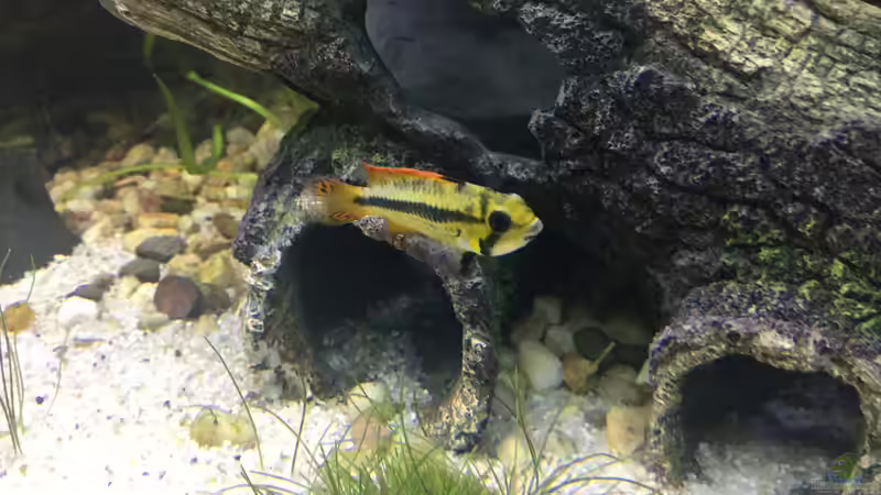 28.12.15 von .Andreas. (109)