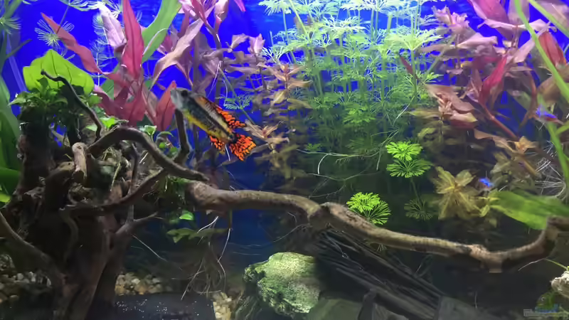 28.12.15 von .Andreas. (13)