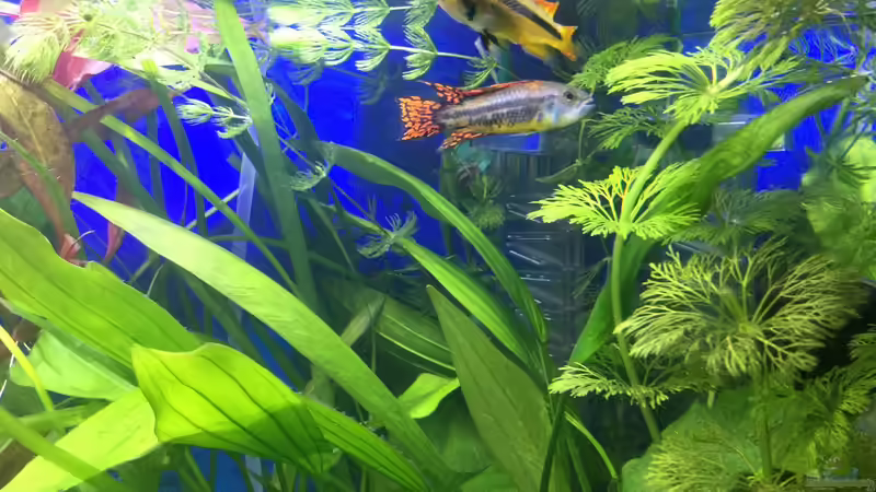 28.12.15 von .Andreas. (28)