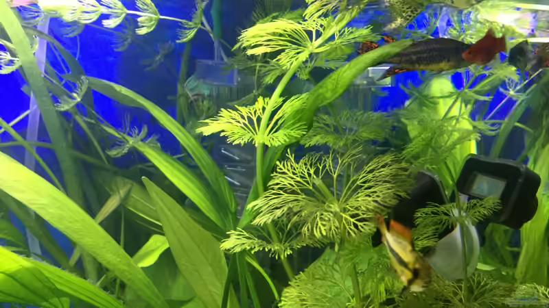 28.12.15 von .Andreas. (29)