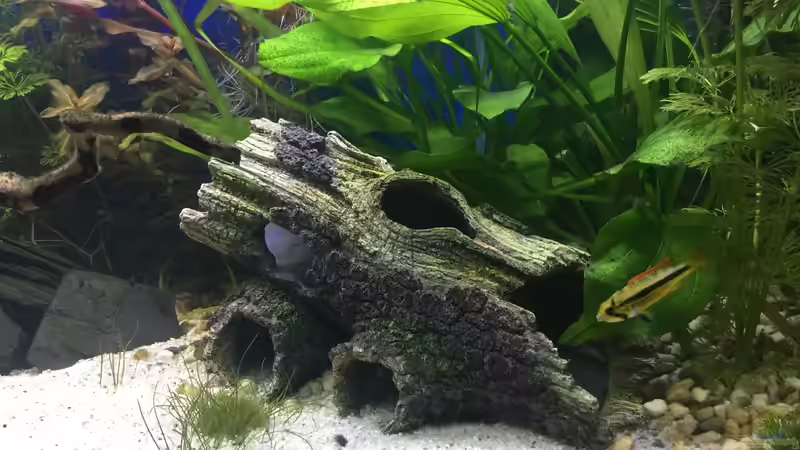 28.12.15 von .Andreas. (63)