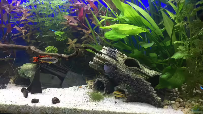 28.12.15 von .Andreas. (64)