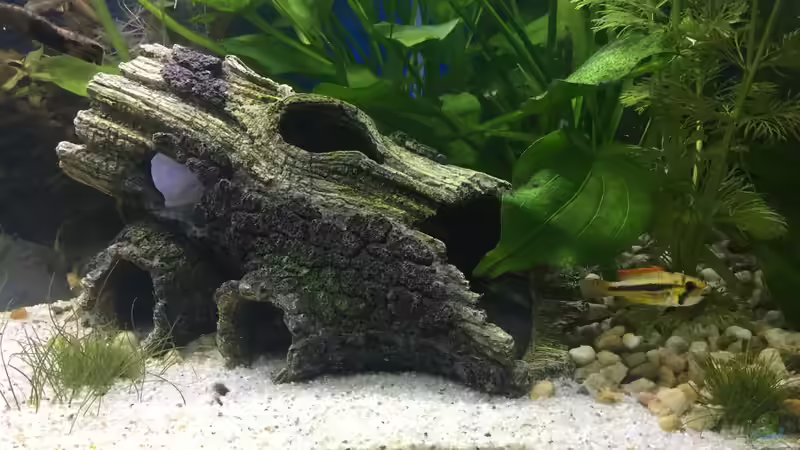 28.12.15 von .Andreas. (66)