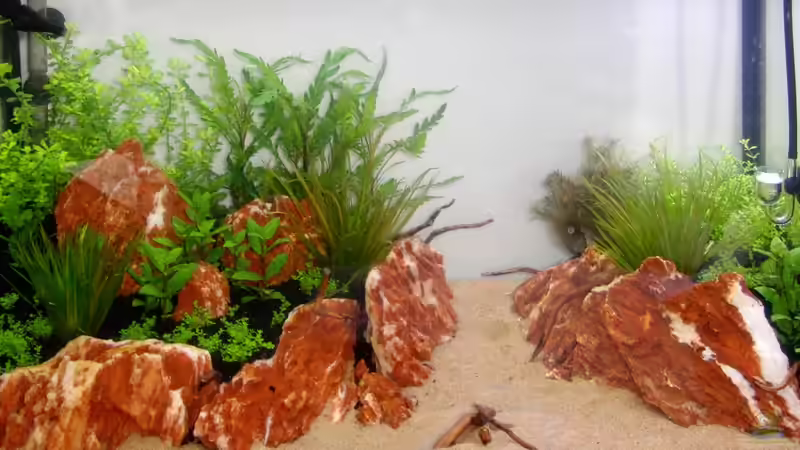 28.2.13 von Bjarke (9)