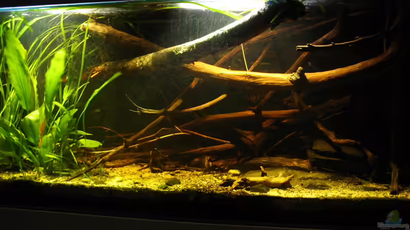 28.33.2017 von der Theoretiker (12)