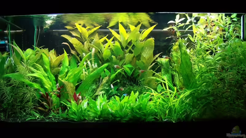 28.5.2009 von Stefan S. (1)