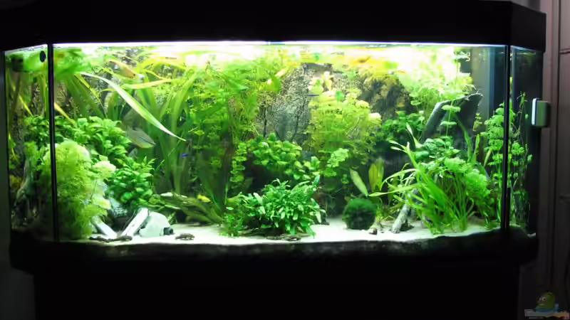 28.8.2010 von Stefan (3)