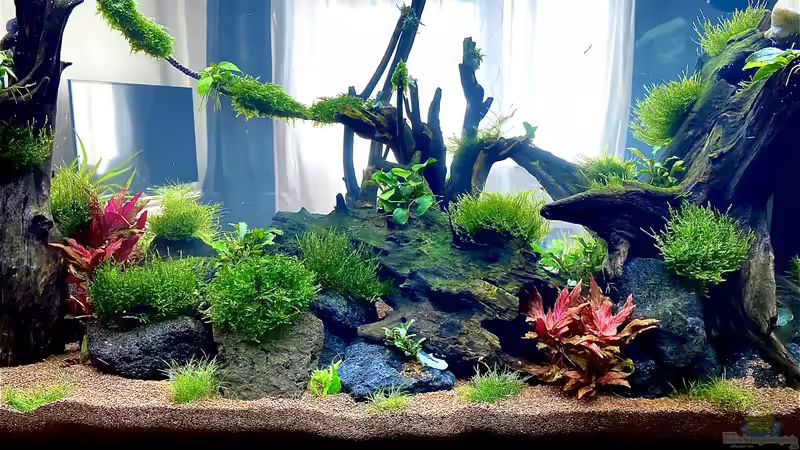 28 Days Later von JustTheD (1)