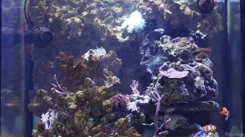 29.01.2009 14´K von Stephan Ascher (12)