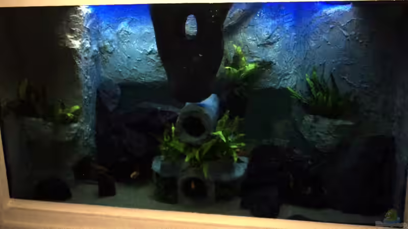 29.01.2012 von Michael Boeck (17)