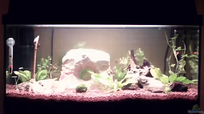 29.03.2006(3 Tage nach dem Einrichten) von Mike Keller (3)