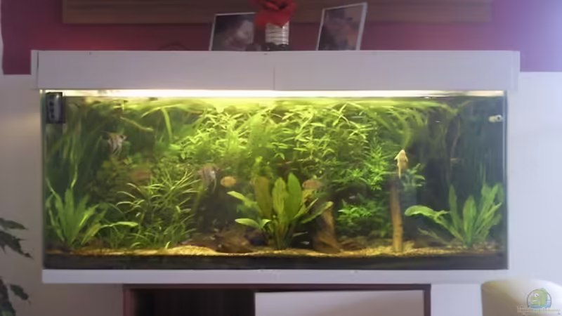 29.03.2012 von ~Danny~ (7)