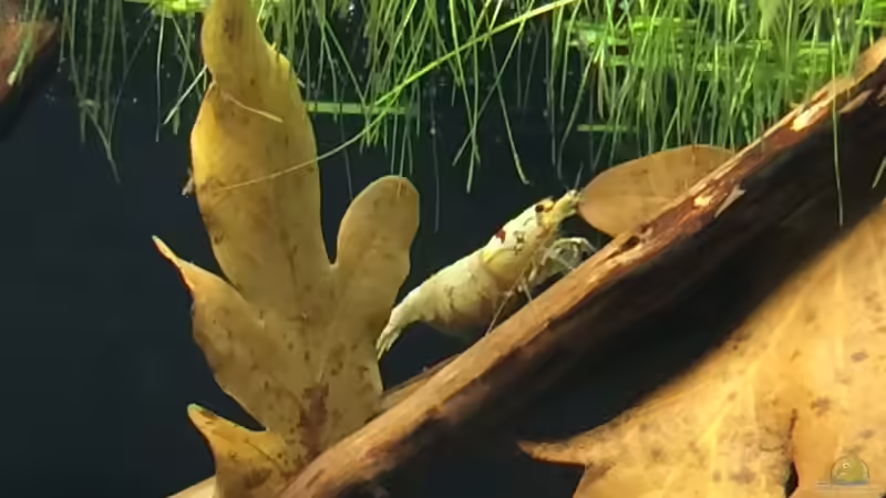 29.03.2015 von Walde (134)