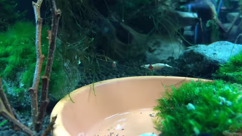 29.03.2015 von Walde (137)