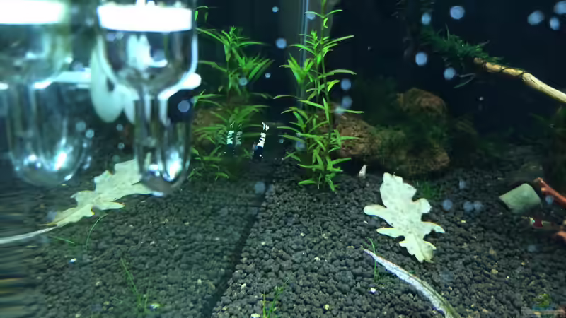 29.03.2015 von Walde (138)