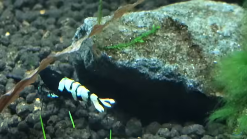 29.03.2015 von Walde (140)