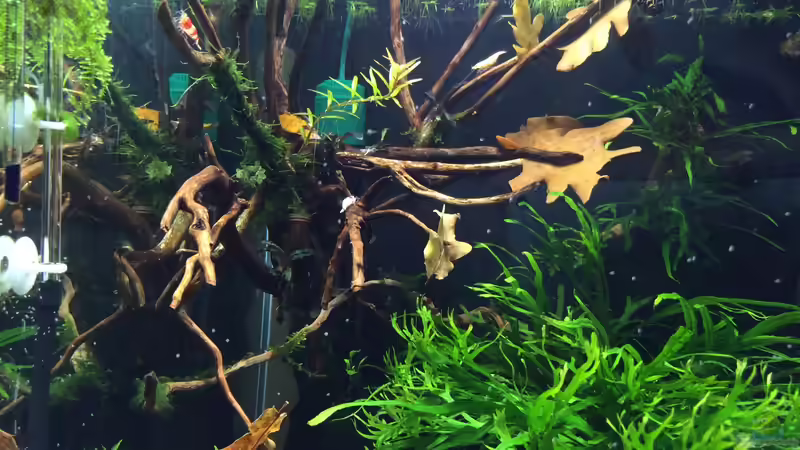 29.03.2015 von Walde (3)